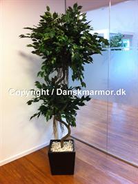 Ficus Spiral 301-0312 1995 kr.